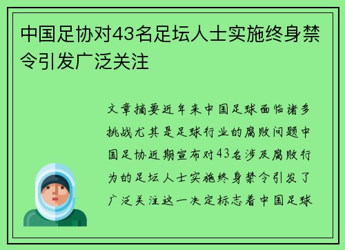 中国足协对43名足坛人士实施终身禁令引发广泛关注
